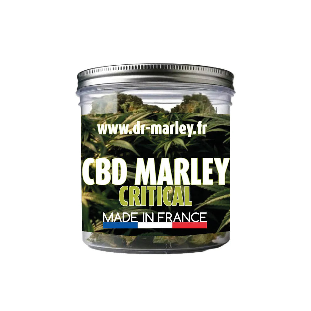 Marley Critical