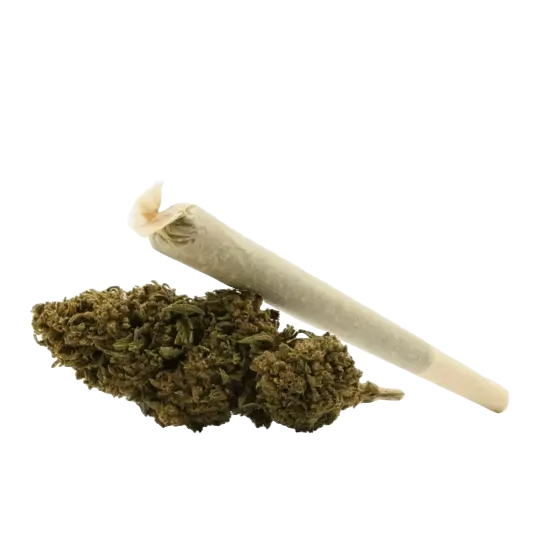 Marley PréRoll