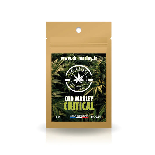 Marley Critical