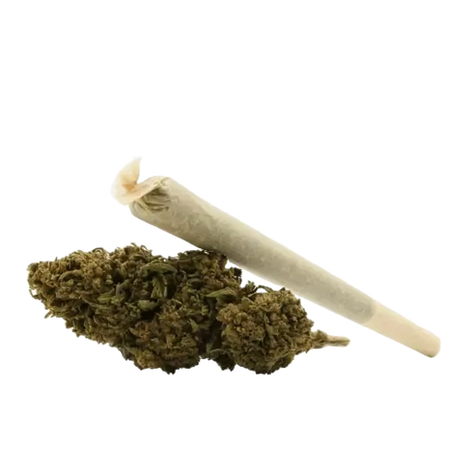 Marley PréRoll