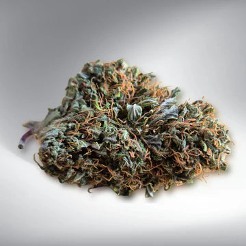 Marley Spicy
